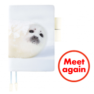 Hobonichi Meet again A6 cover only Harp Seal Pup